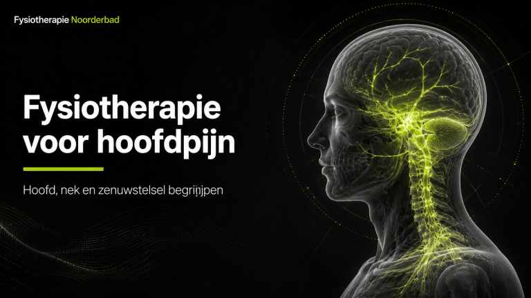Illustratie van hoofdpijn, nek en zenuwbanen met een klinische Noorderbad visualisatie.
