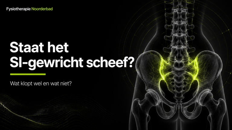 Illustratie van bekken, SI-gewricht en lage rug met klinische Noorderbad accenten.