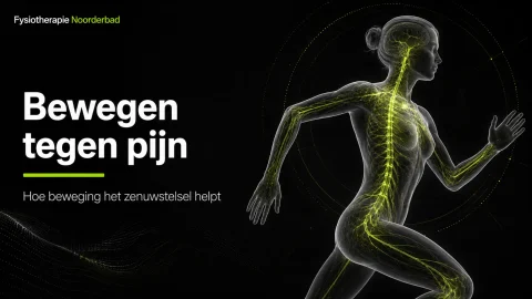 bewegen tegen pijn - Fysiotherapie Noorderbad Groningen