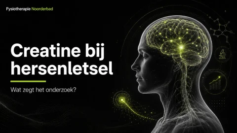 creatine bij hersenletsel - Fysiotherapie Noorderbad Groningen