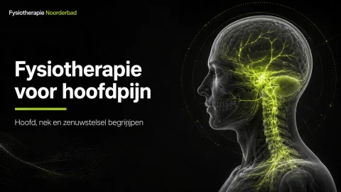 fysiotherapie voor hoofdpijn - Fysiotherapie Noorderbad Groningen