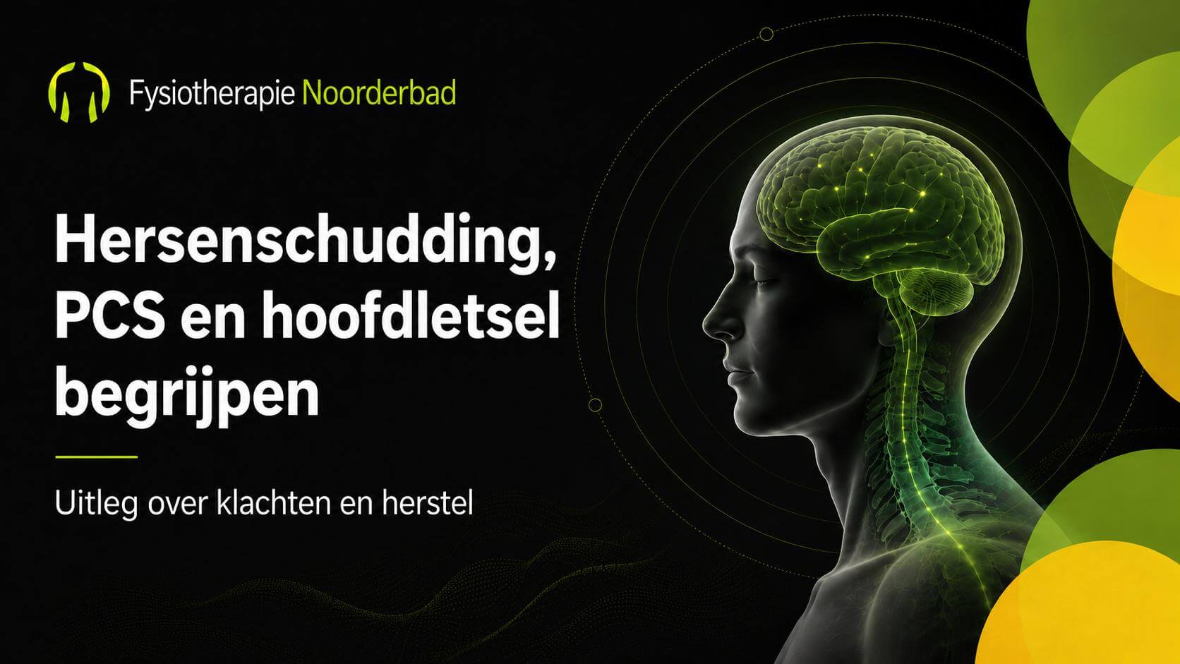 Banner met tekst “Hersenschudding, PCS en hoofdletsel begrijpen”, met een medische illustratie van hoofd, brein en nek in Noorderbad-stijl.