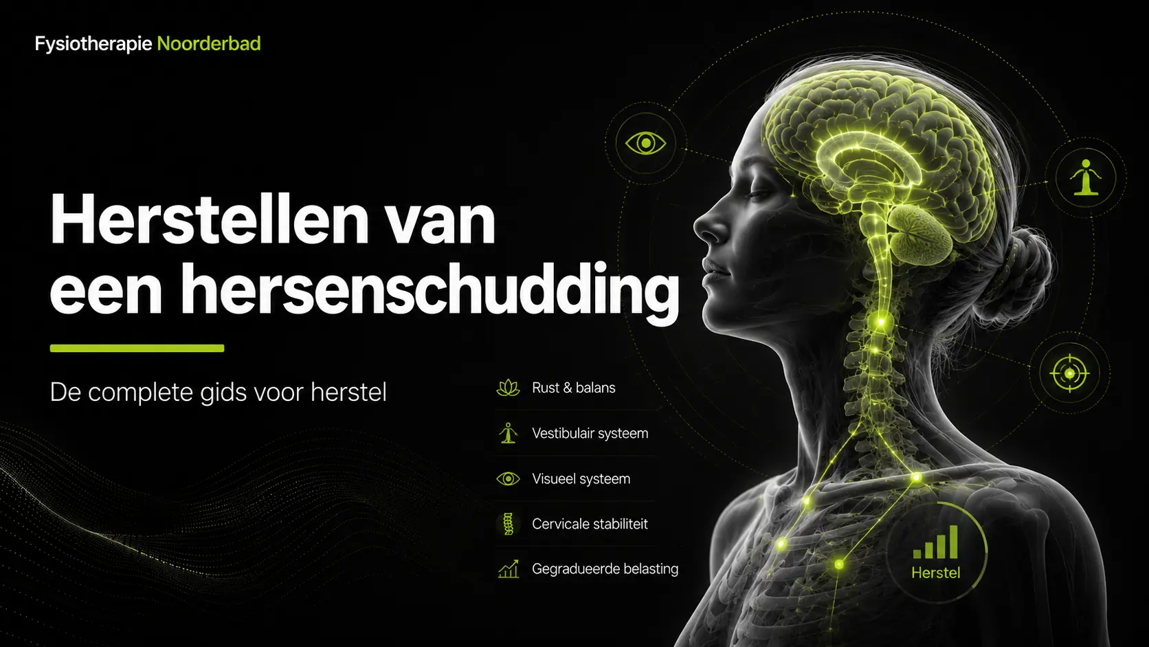 herstellen van een hersenschudding - Fysiotherapie Noorderbad Groningen