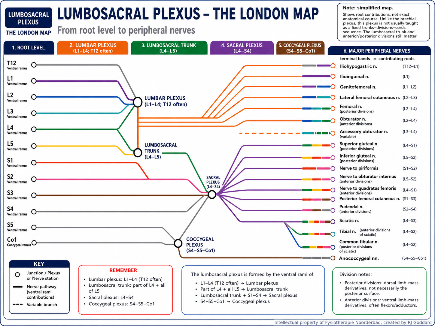 London Underground-style educational diagram of the lumbosacral plexus showing roots, trunks, and terminal peripheral nerves