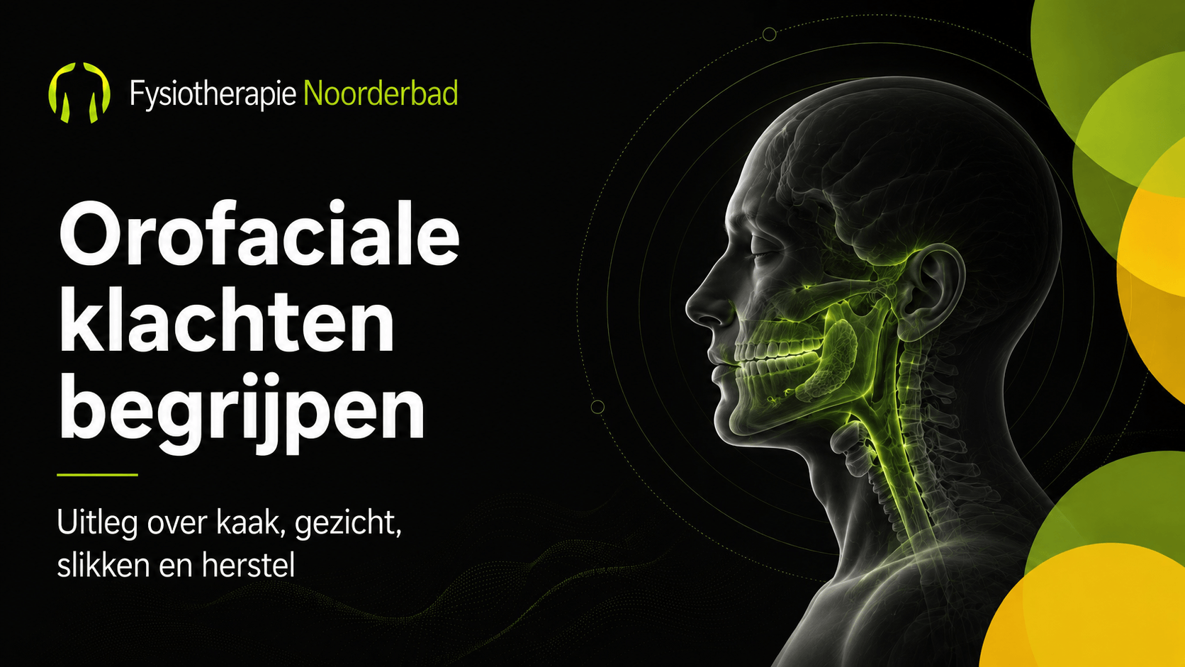 Illustratie van kaak, gezicht en hals met nadruk op orofaciale structuren, gebruikt als banner voor een hub over orofaciale klachten.