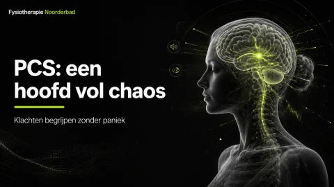 pcs een hoofd vol chaos - Fysiotherapie Noorderbad Groningen