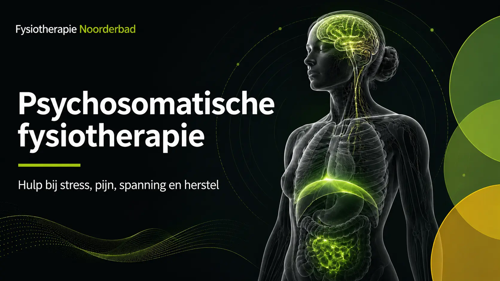 psychosomatische fysiotherapie in Groningen; Illustratie van lichaam, ademhaling en zenuwstelsel bij psychosomatische fysiotherapie, in de stijl van Fysiotherapie Noorderbad.