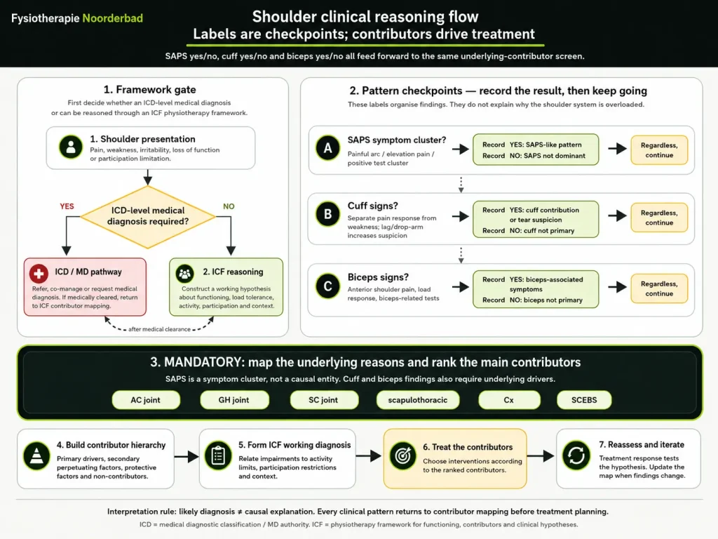 shoulder descision rules - Fysiotherapie Noorderbad Groningen
