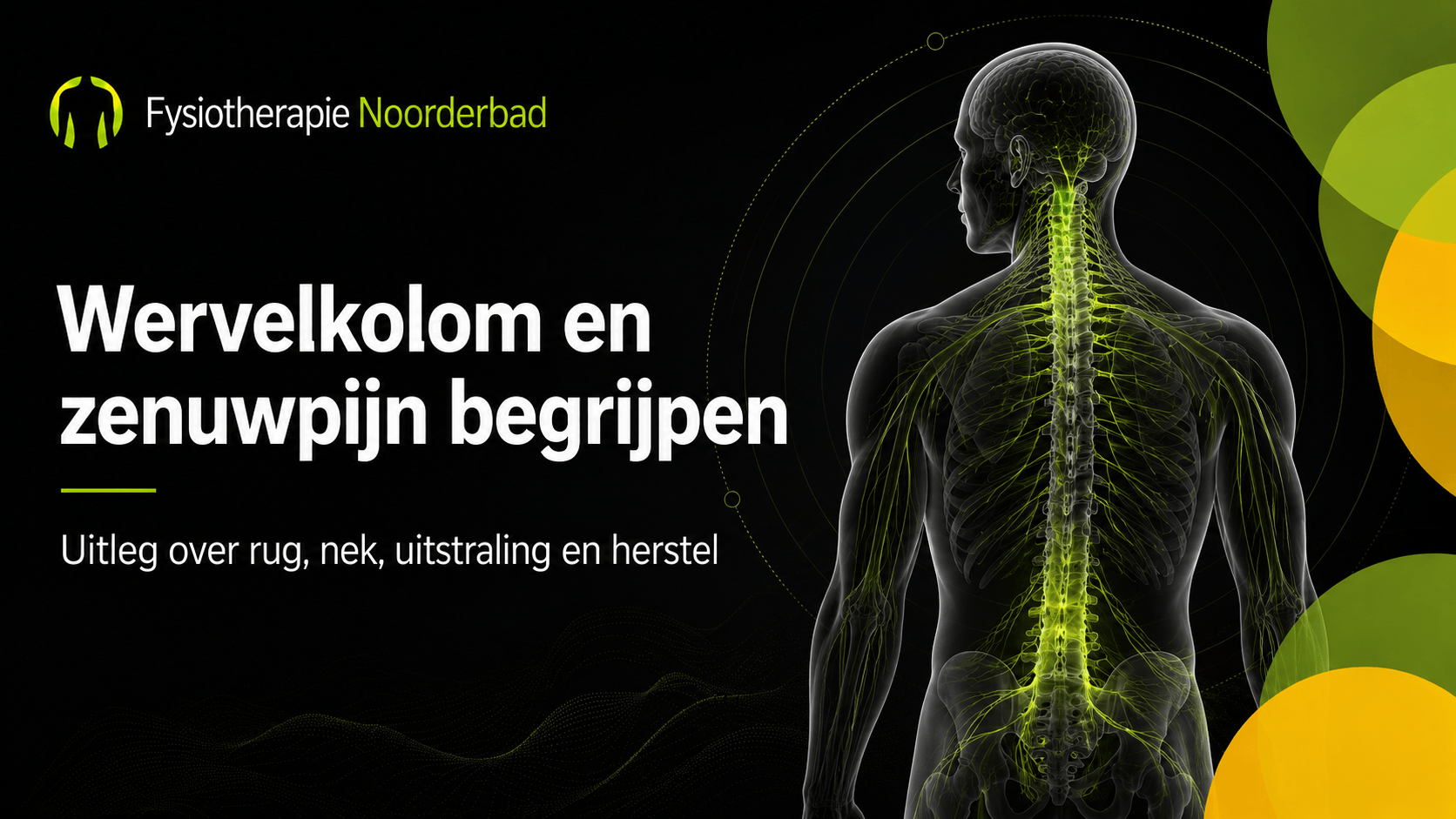 Illustratie van rug, nek en wervelkolom met nadruk op zenuwbanen, gebruikt als banner voor een hub over wervelkolomklachten en zenuwpijn.