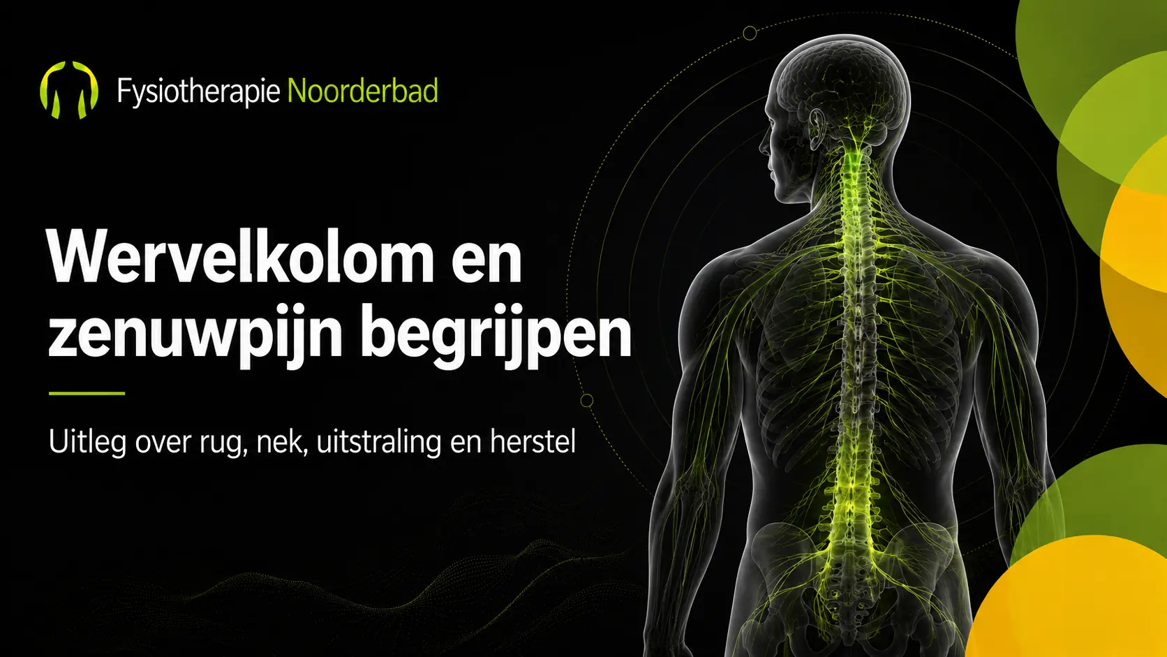 wervelkolom en zenuwpijn begrijpen - Fysiotherapie Noorderbad Groningen